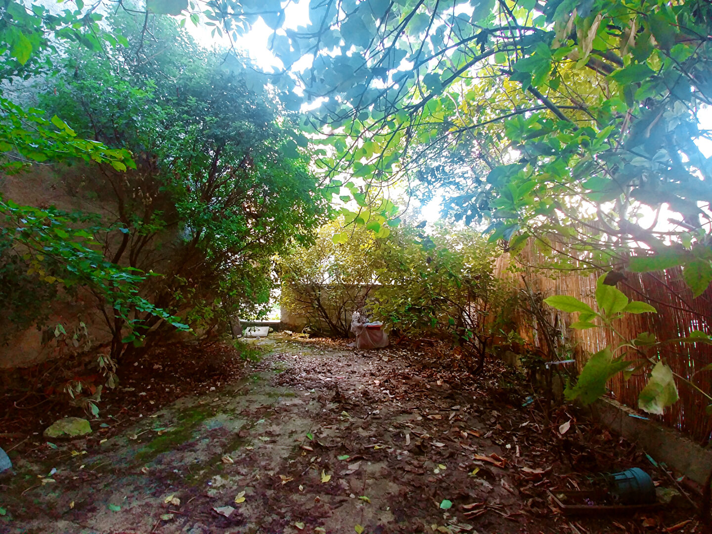 Photo Terrain Puylaroque image 2/2