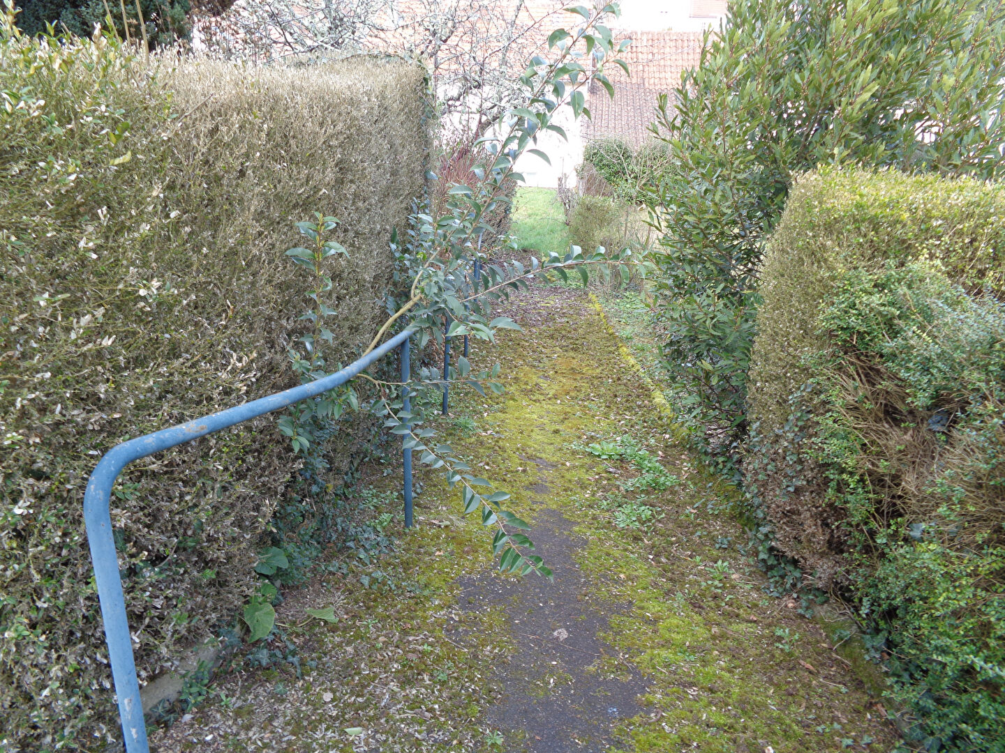 image_bien
