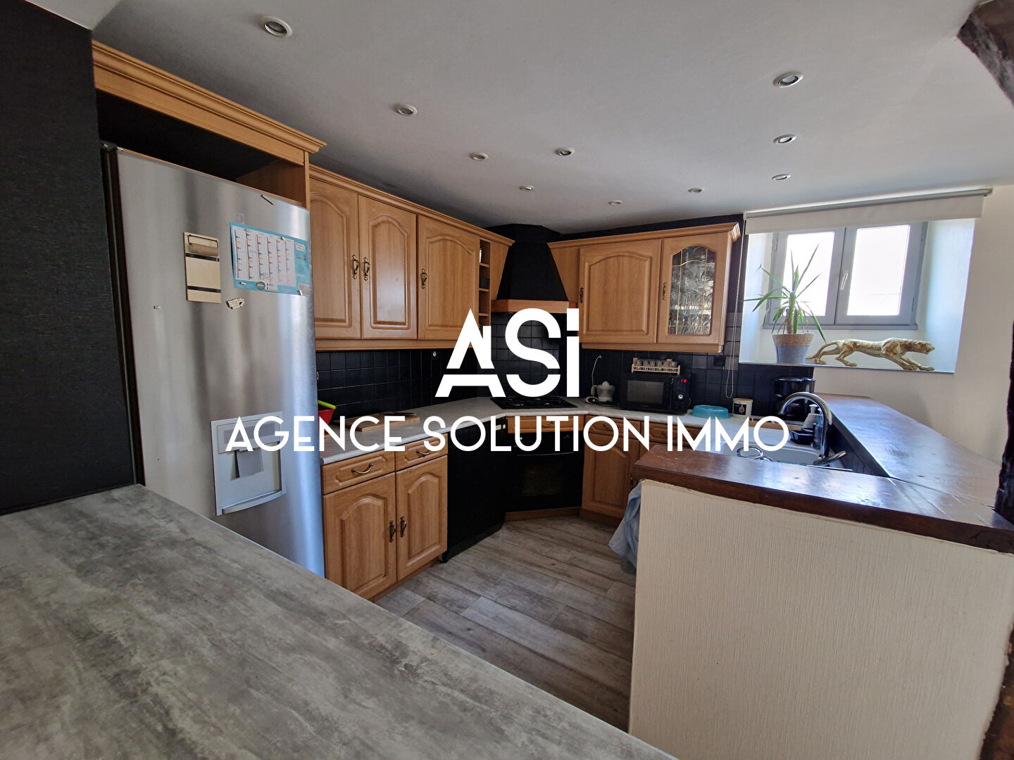 Ensemble Immobilier Maison principale + studio et grands garage - 600m² de terrain
