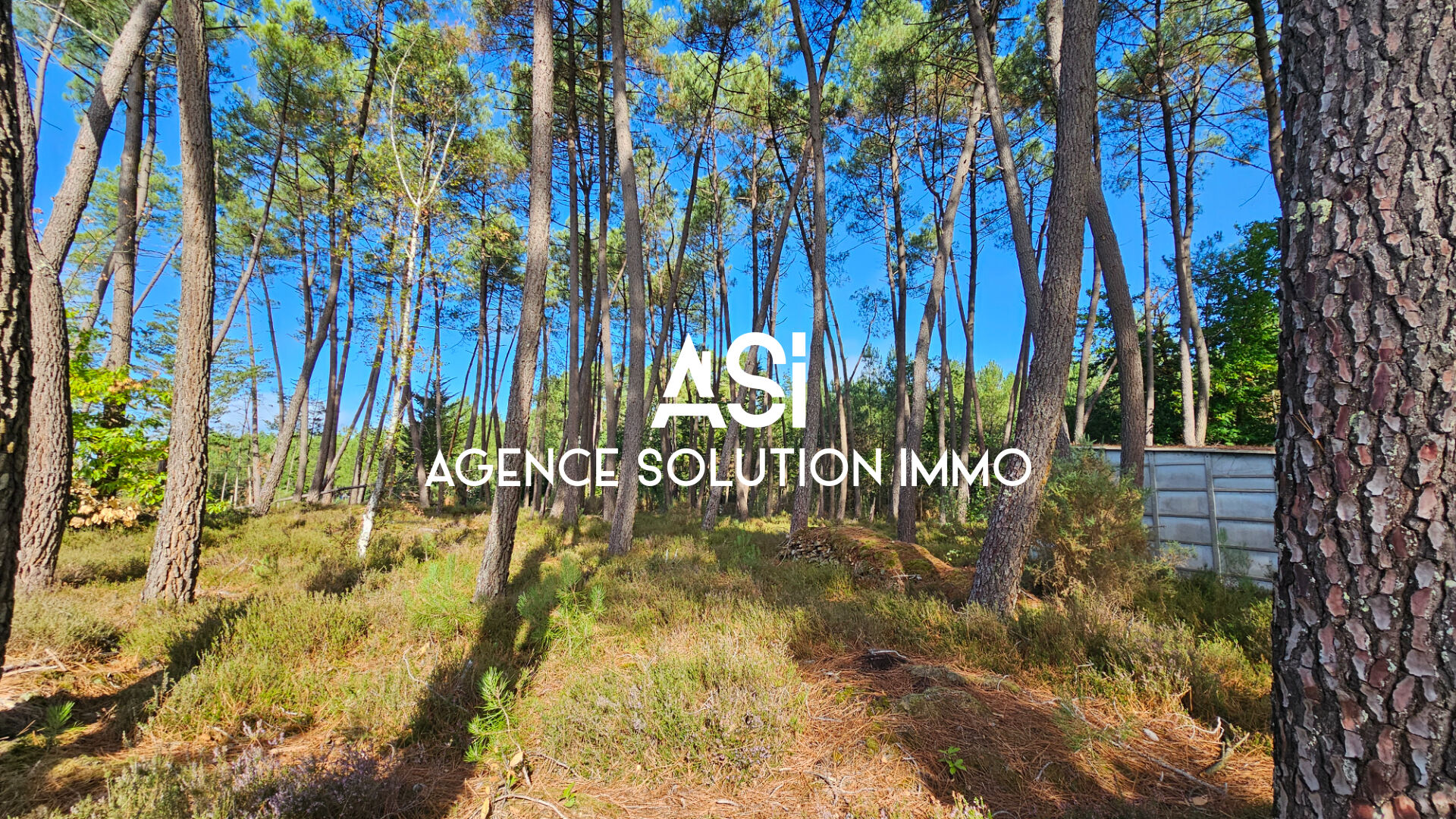 Terrain de loisirs - Ecommoy