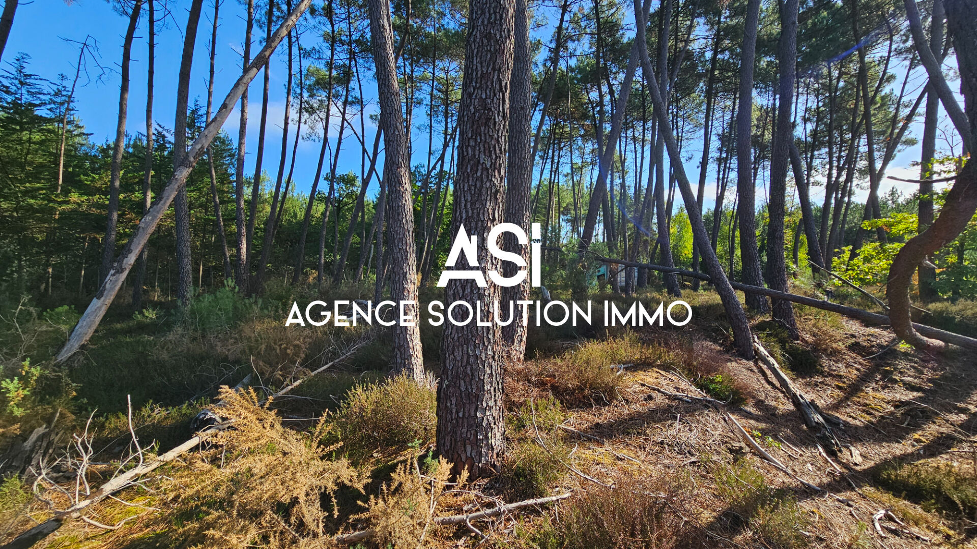 Terrain de loisirs - Ecommoy