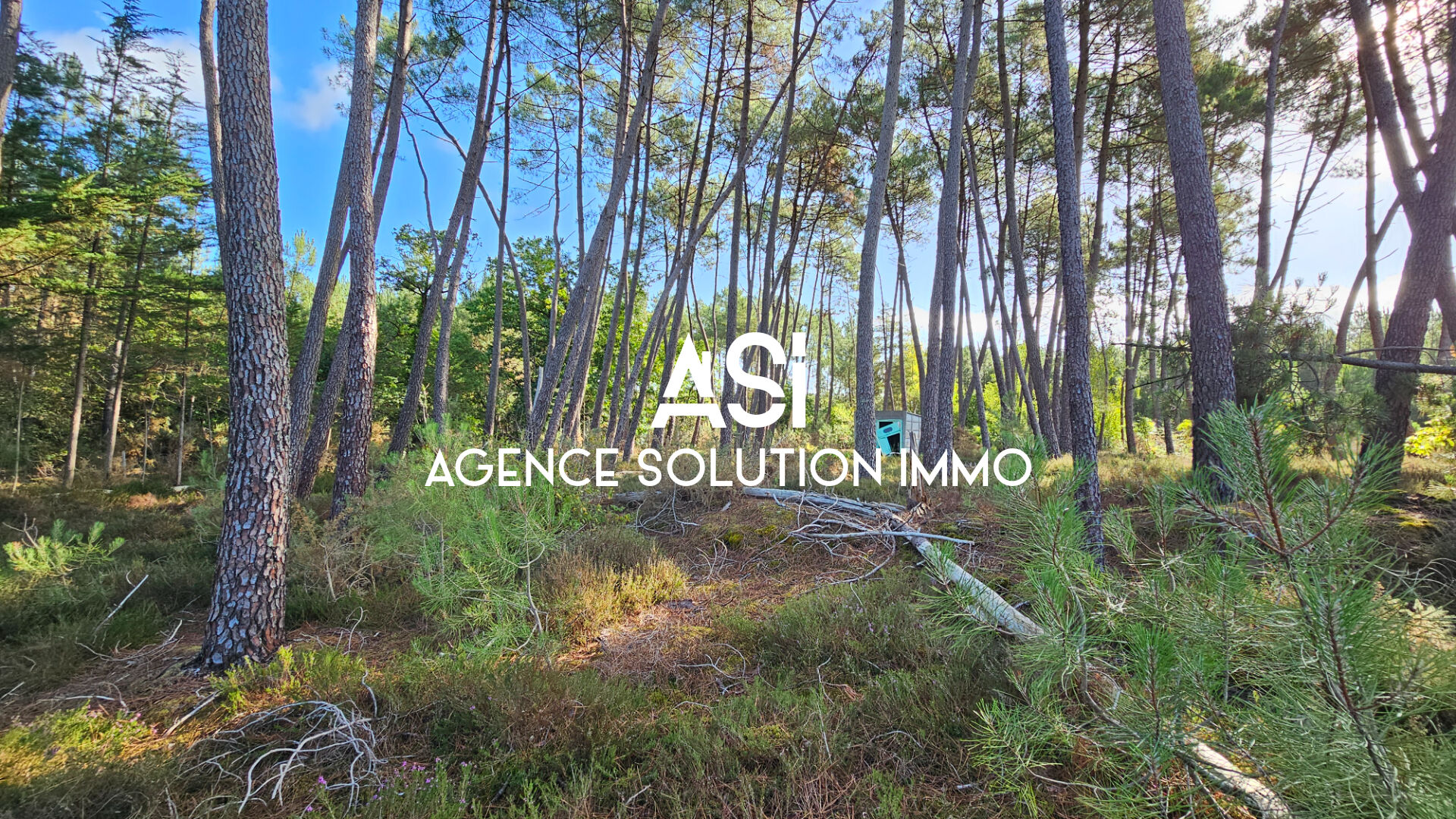 Photo Terrain de loisirs - Ecommoy image 3/6