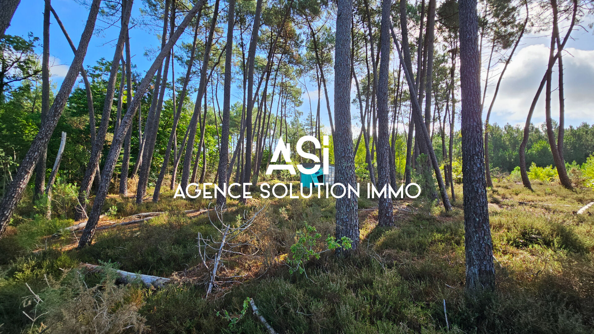 Terrain de loisirs - Ecommoy