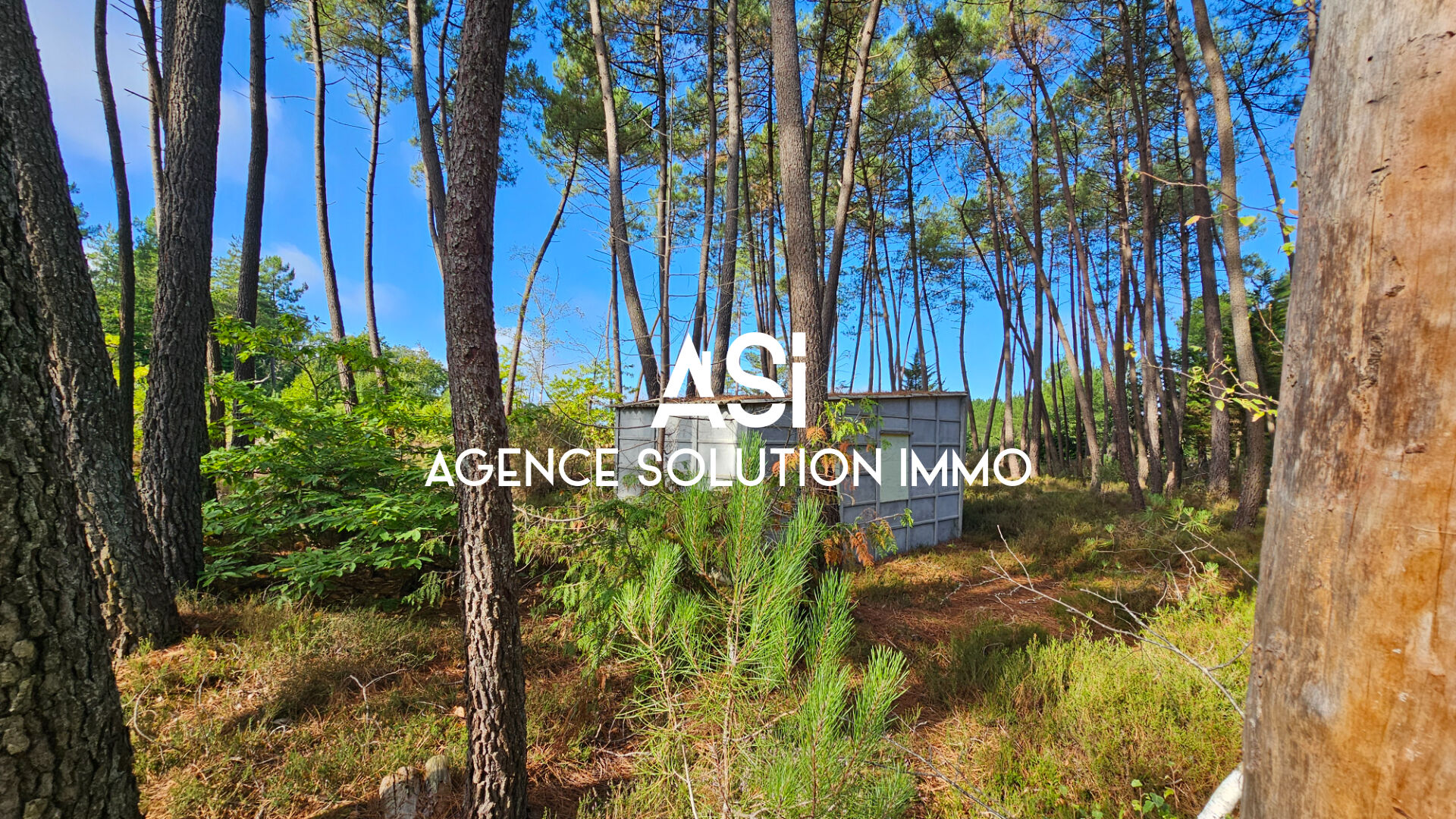 Photo Terrain de loisirs - Ecommoy image 5/6