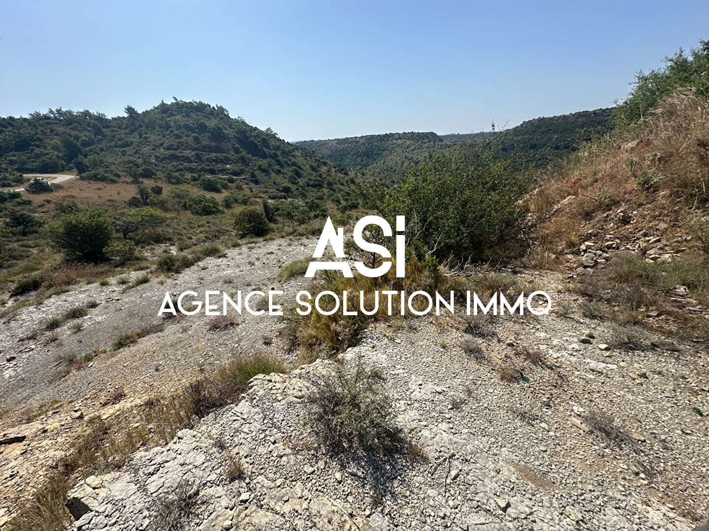 Photo Terrain Gras image 3/6