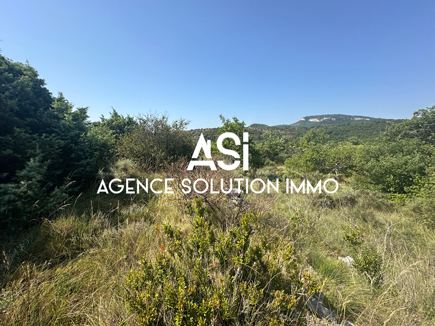 Photo Terrain Gras image 4/6