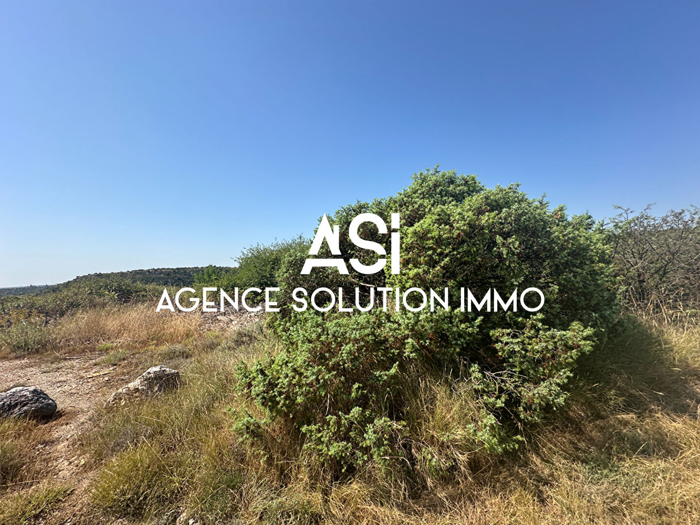 Photo Terrain Gras image 5/6