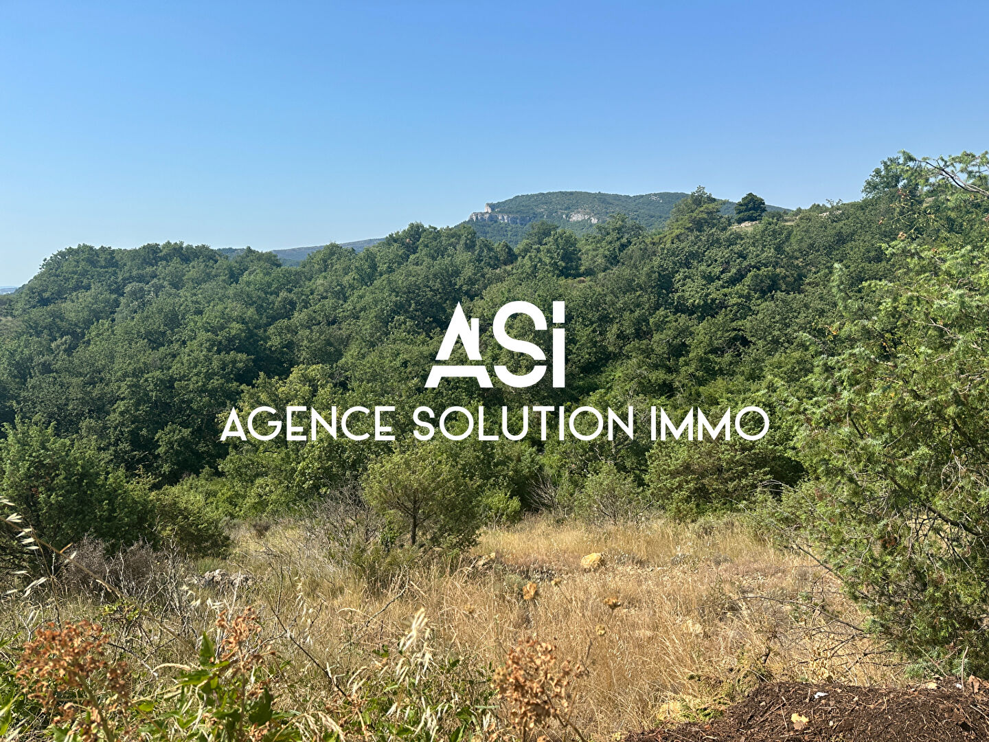 Photo Terrain Gras image 6/6