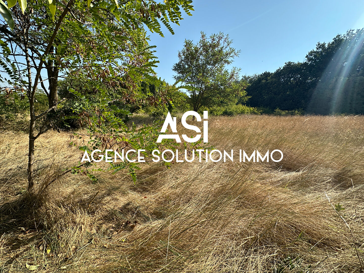 Agence immobilière de Agence Solution Immo