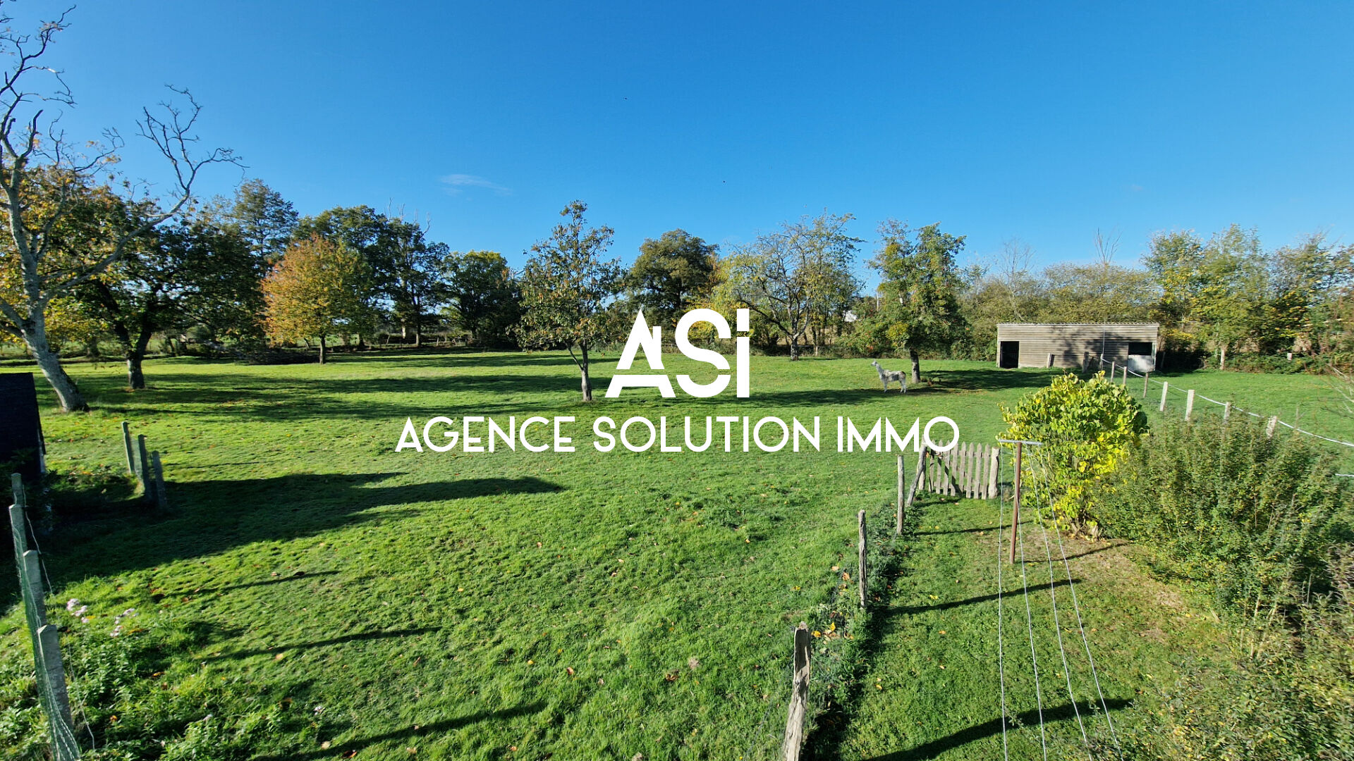 Agence immobilière de 
 Agence Solution Immo - Agence Solution Immo 
