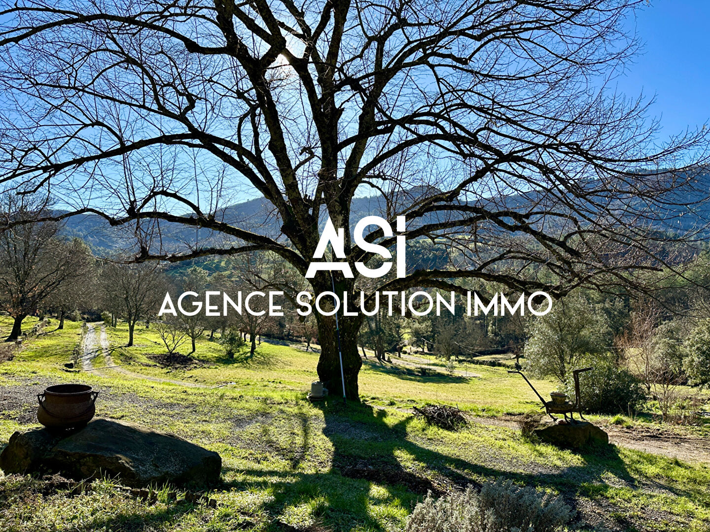 Propriété de caractère