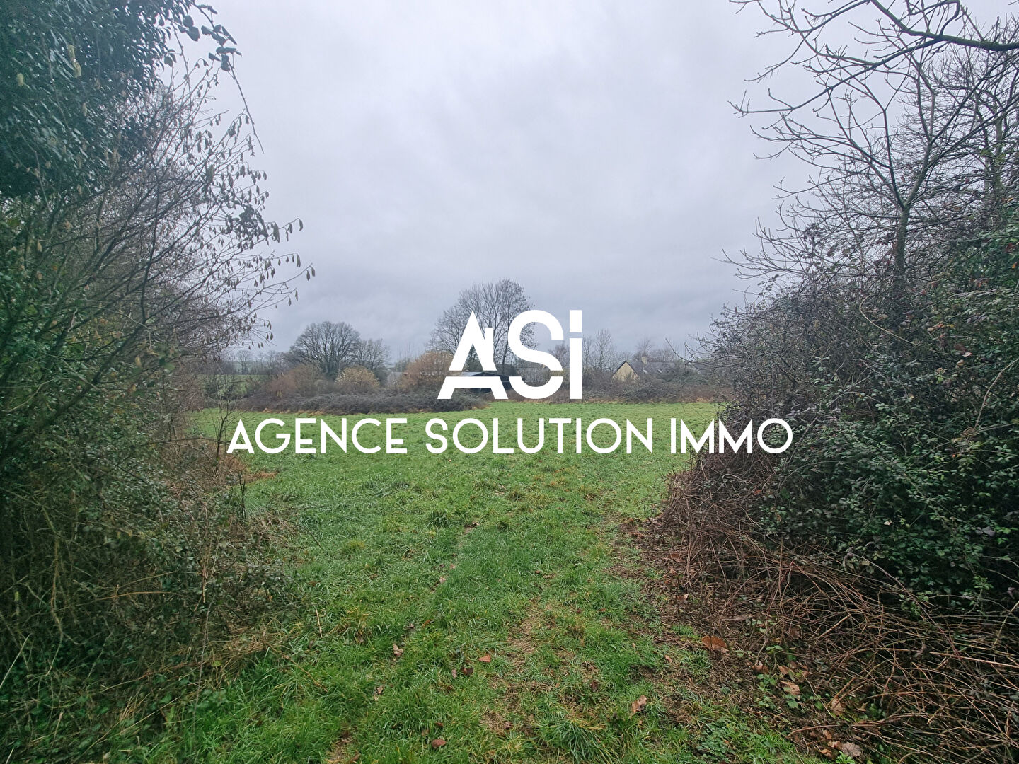 Terrain Bais 5137 m2