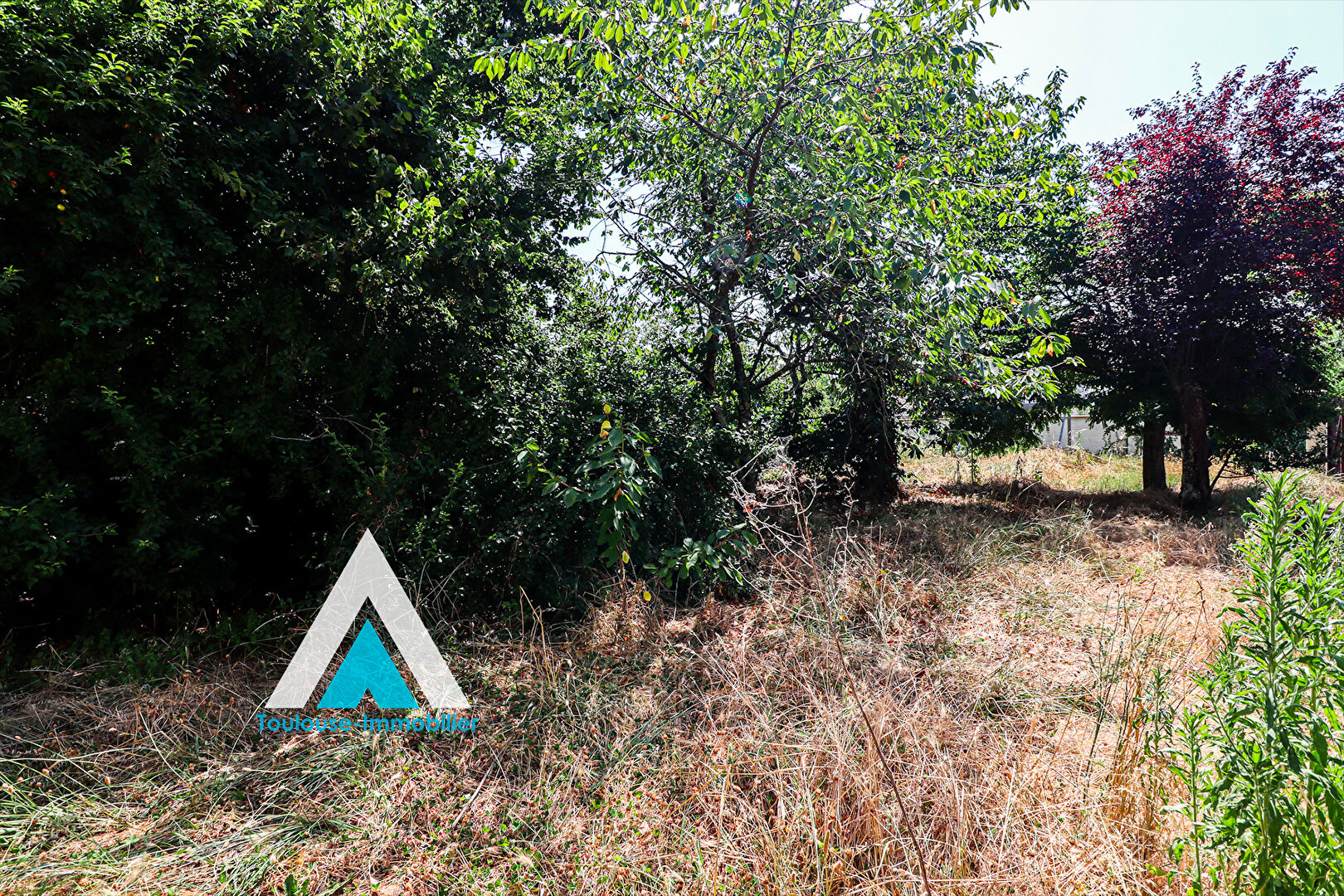 Agence immobilière de L'AGENCE TOULOUSE IMMOBILIER