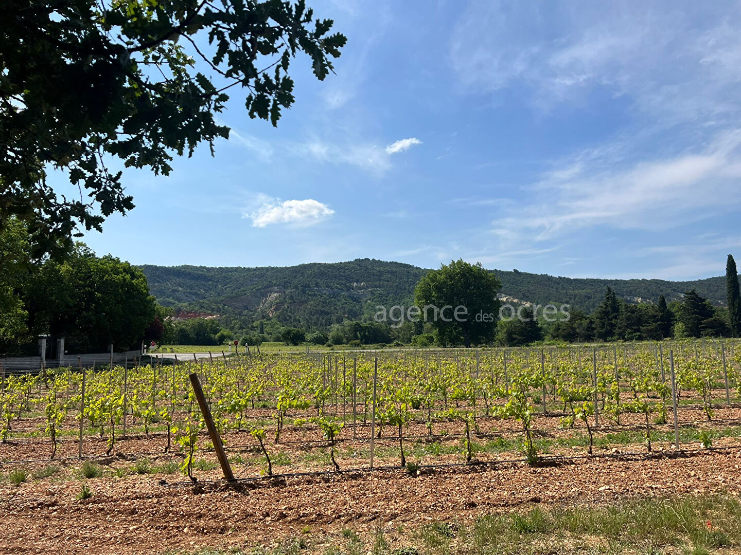 Terrain Rustrel 1800 m2