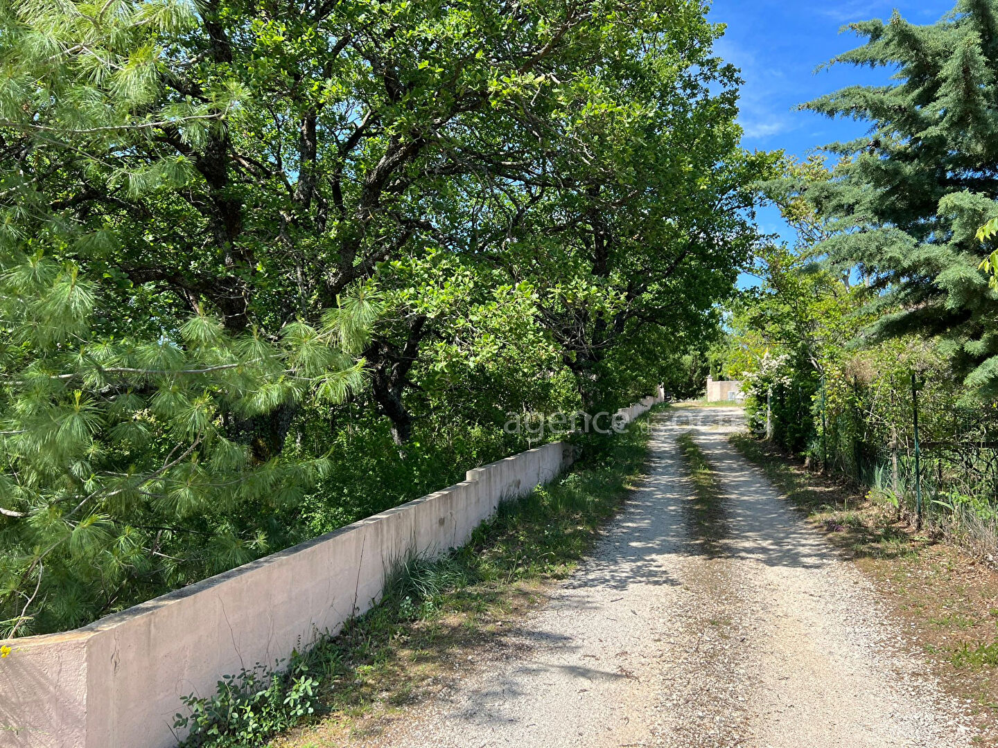 Terrain Rustrel 1800 m2