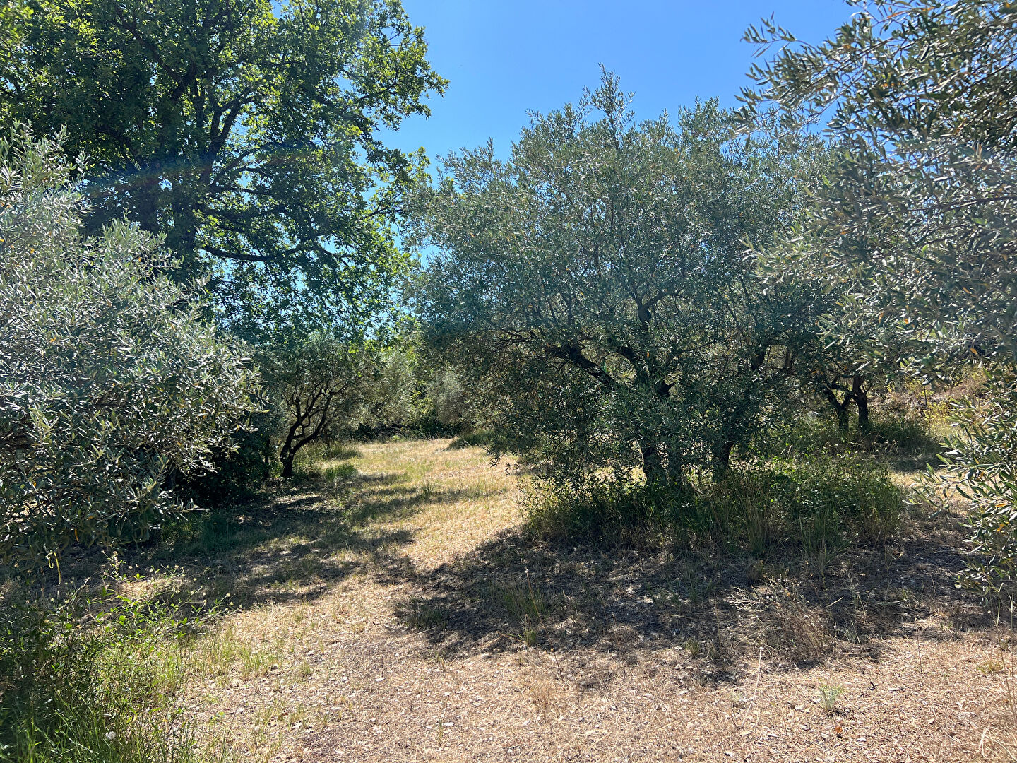 Building plot in APT