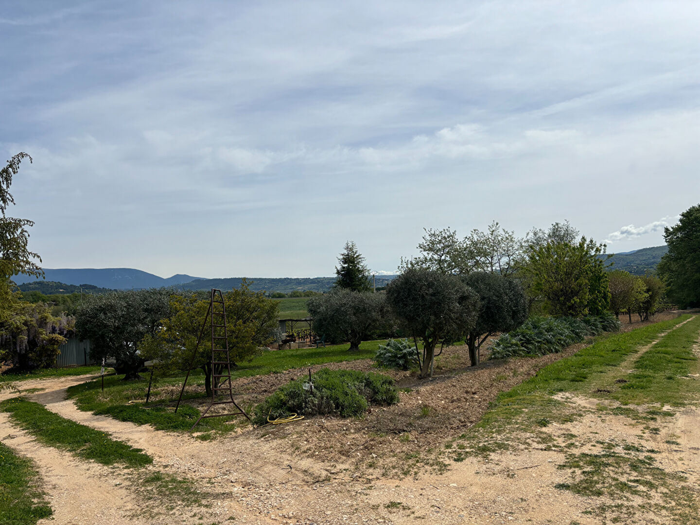 Propriété avec maison, grand hangar et 3,5 ha de vignes, truffières et bois, cadre privilégié