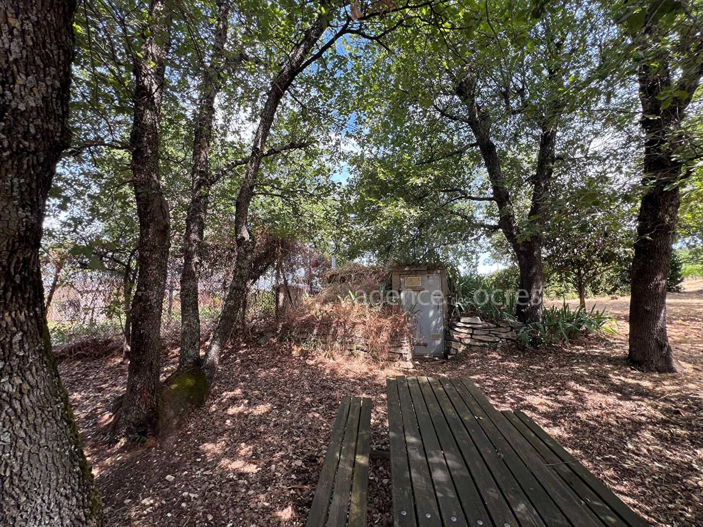 House in Bonnieux et 5000sqm of land