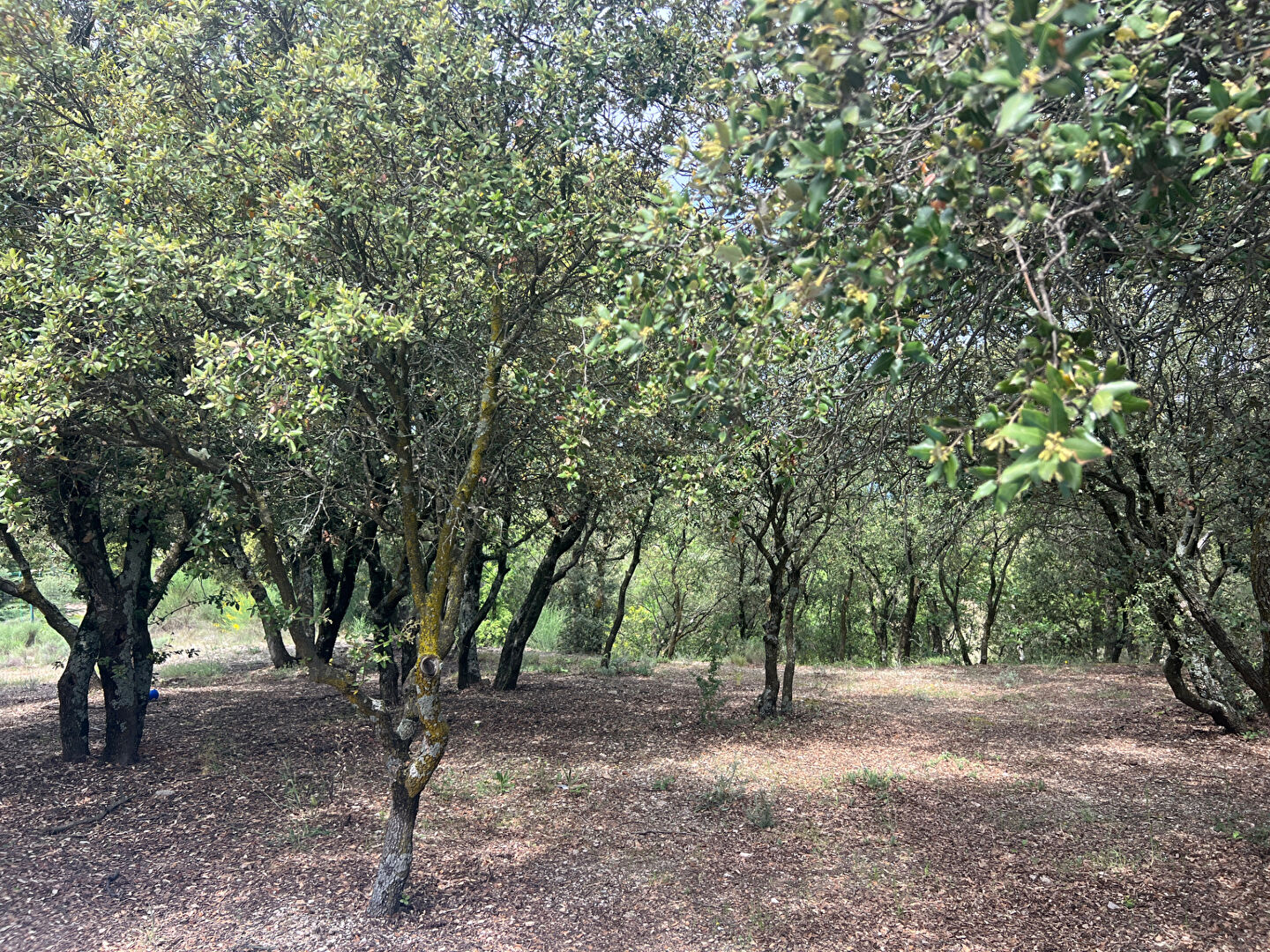 Maison Gargas 160 m2