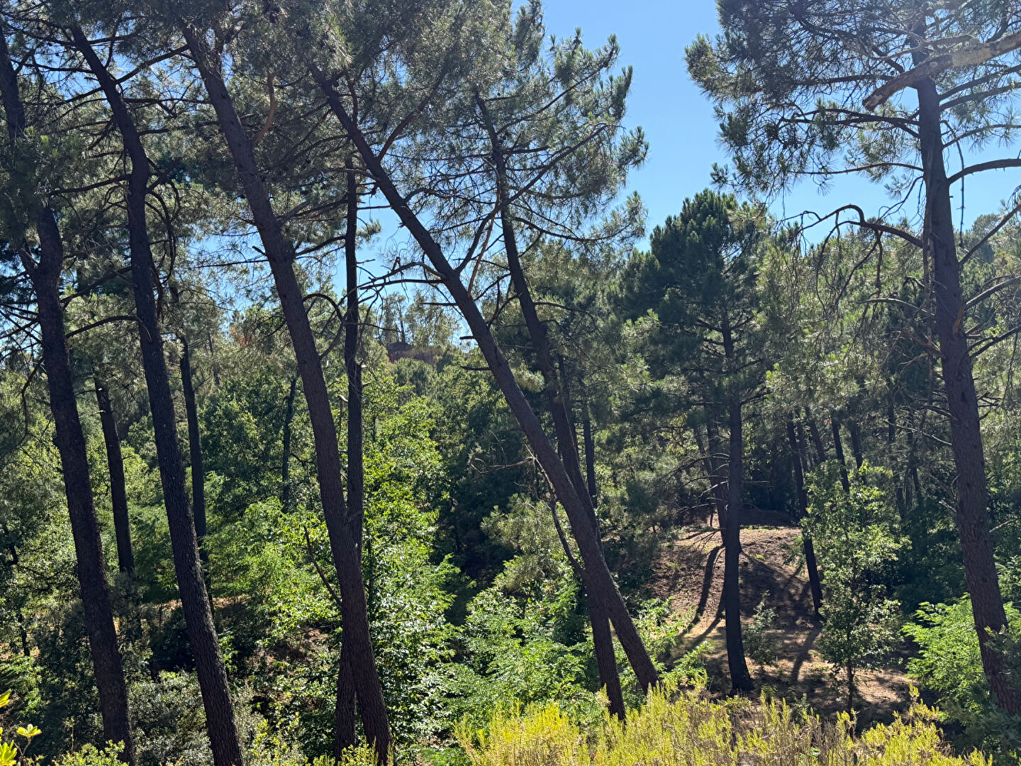 Roussillon Villa de plain-pied au coeur d'un environnement privilégié