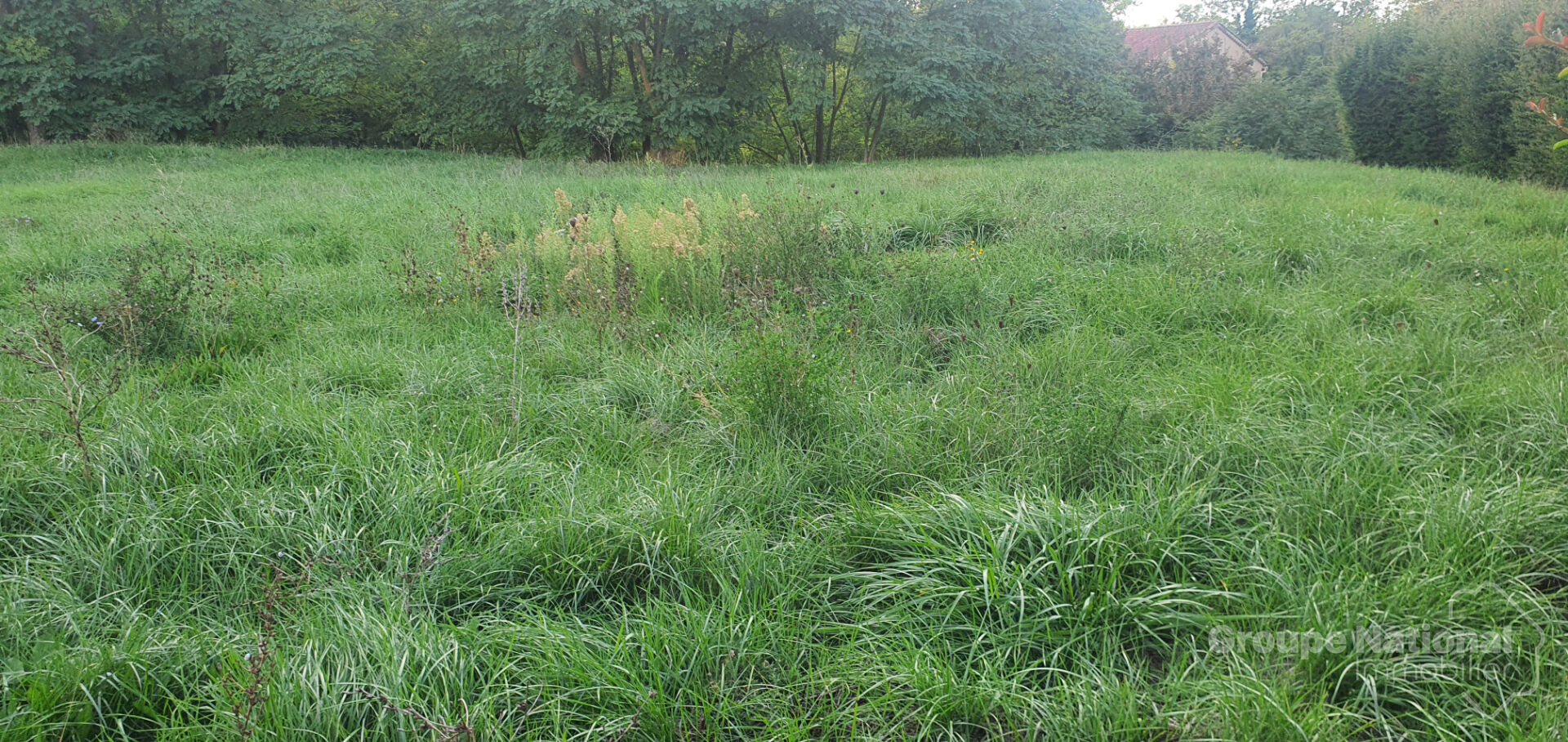 Terrain constructible à Rians 1032 m2