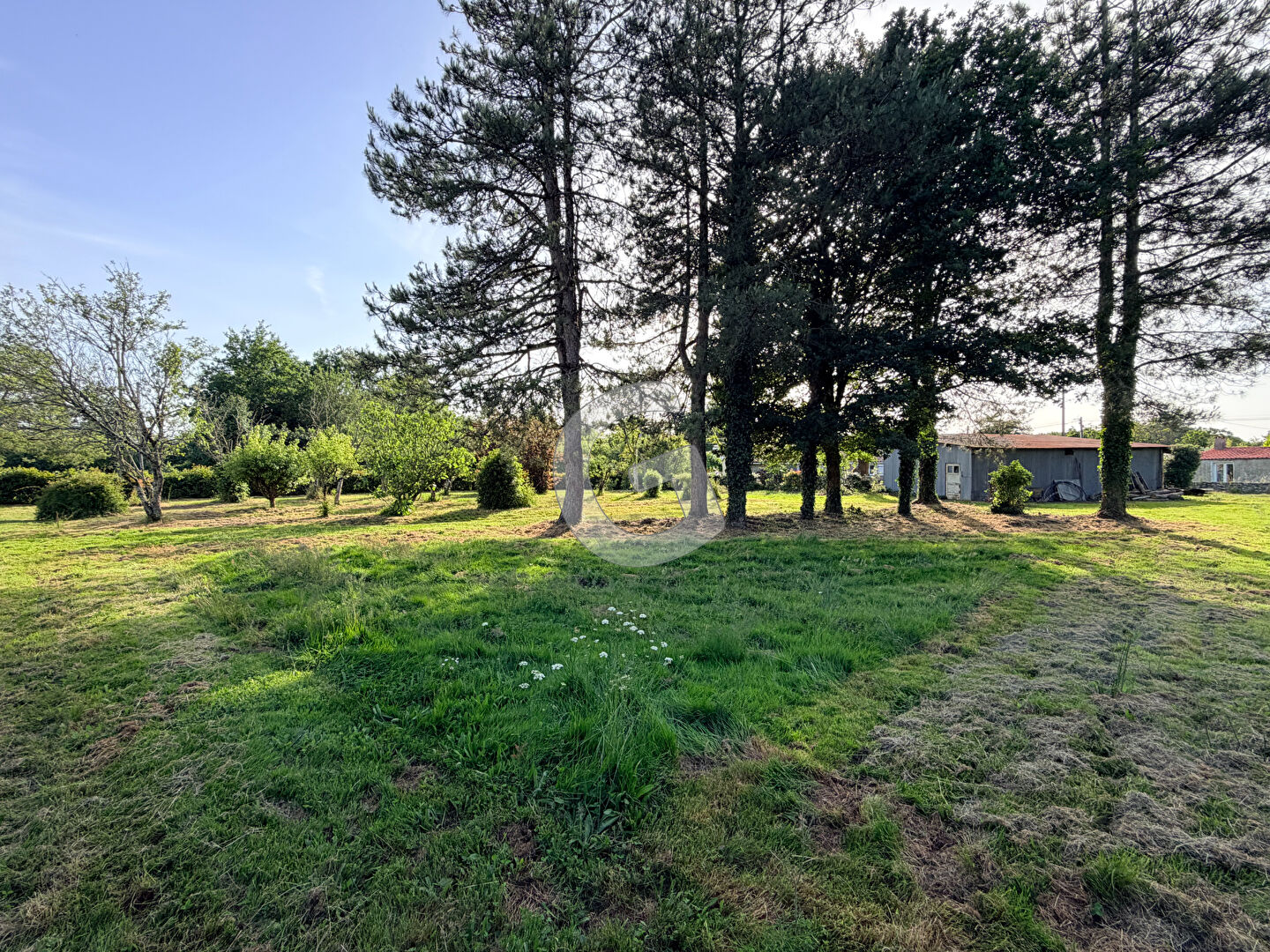 TERRAIN CONSTRUCTIBLE - 1264 M² - A VENDRE - SAINT VINCENT SUR GRAON