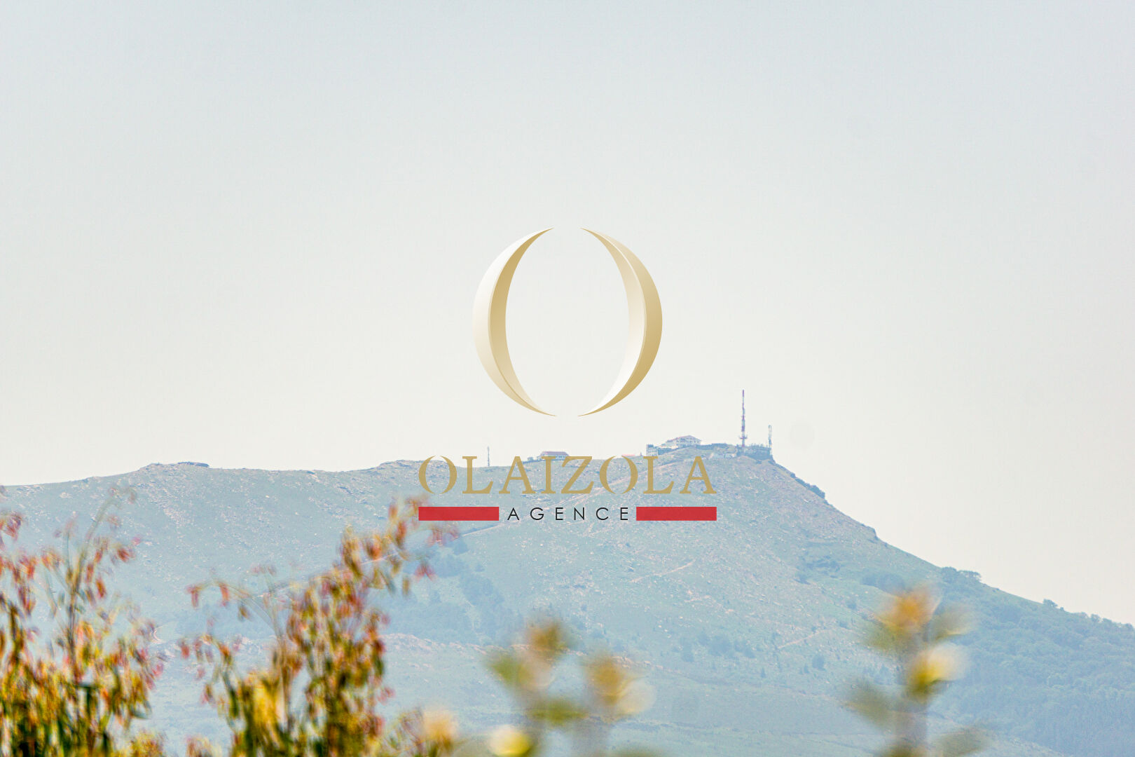 Agence immobilière de 
 AGENCE OLAIZOLA - Agence OLAIZOLA 
