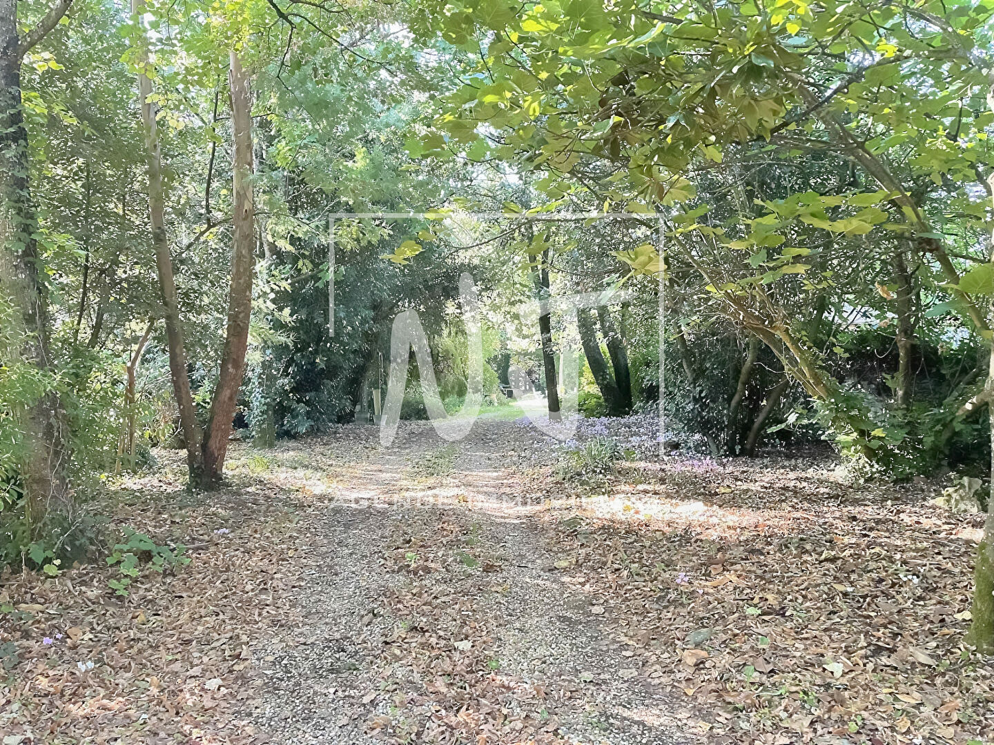 Maison à réhabiliter et son parc de 3000 m²