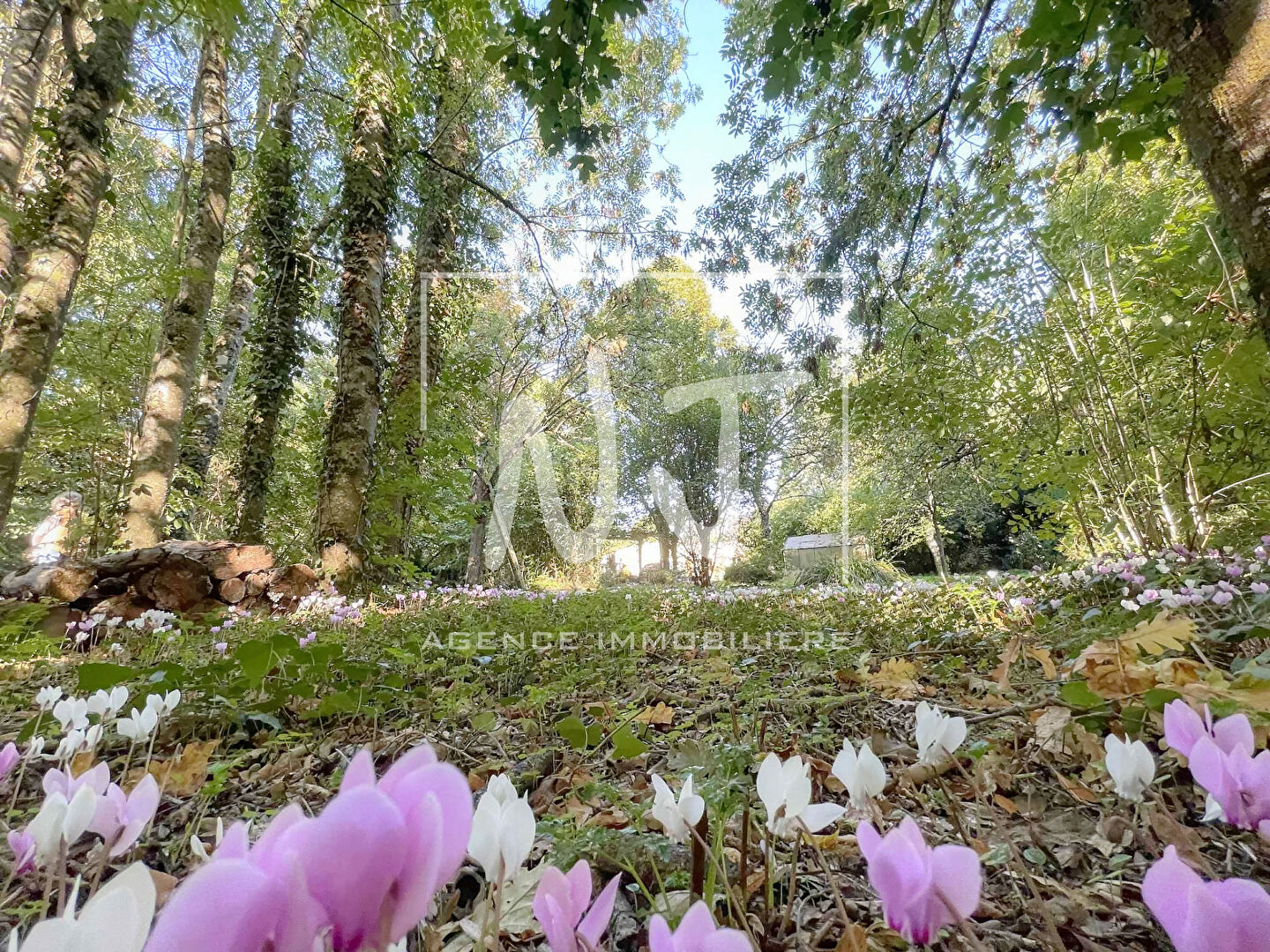 Photo Maison à réhabiliter avec terrain constructible image 1/6