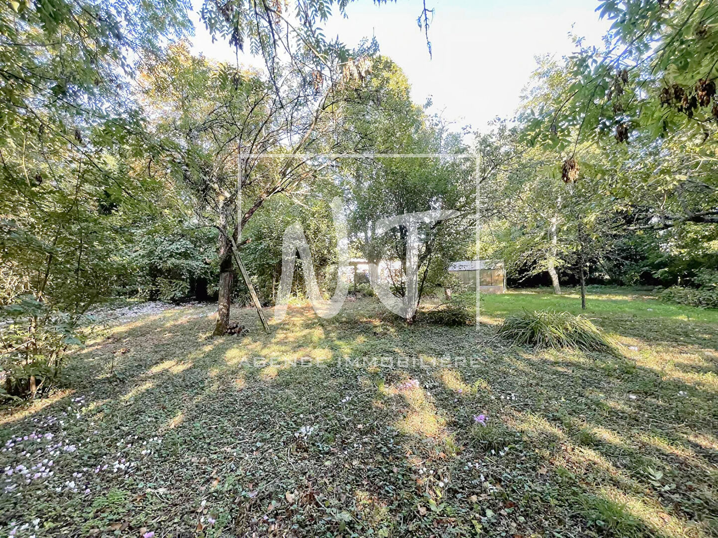 Photo Maison à réhabiliter avec terrain constructible image 4/6