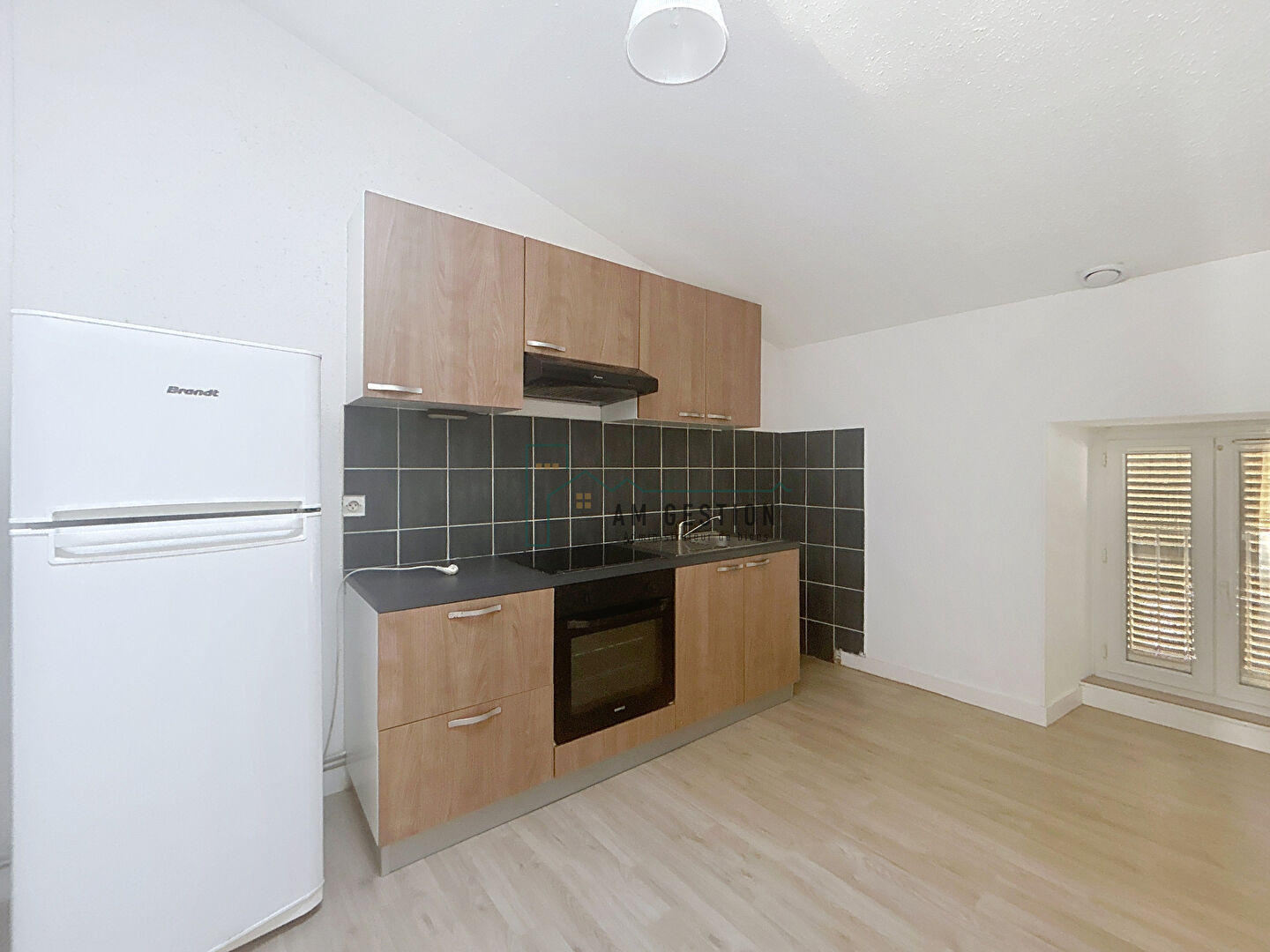 Appartement T2 (56m2) - Aixe sur Vienne