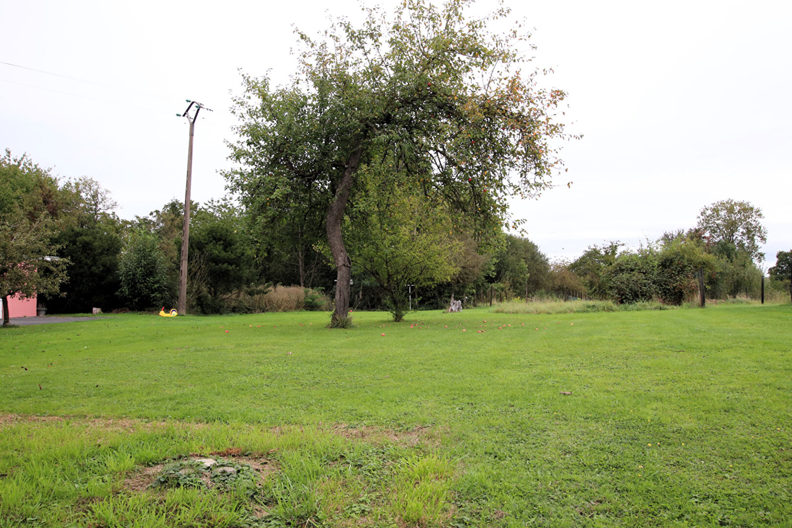 Photo Maison 6 pièces 123 m² sur sous-sol, grenier, garage, jardin à vendre à BIDING image 3/6