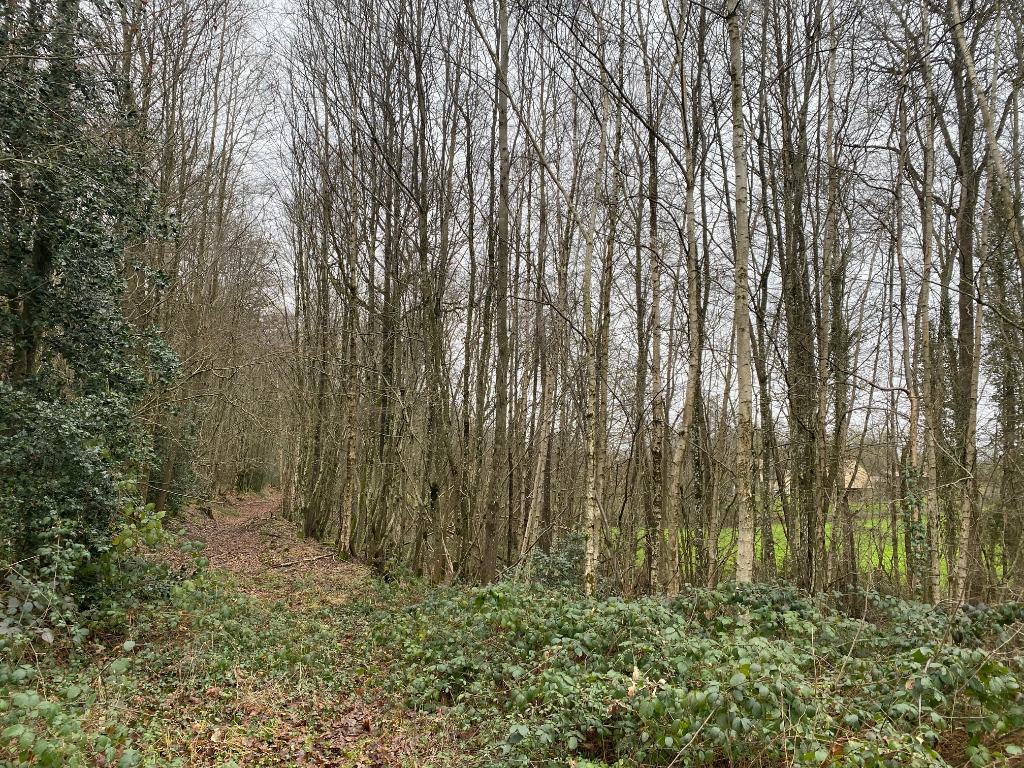 TERRAIN DE LOISIRS ARGENVILLIERS Argenvilliers 28480