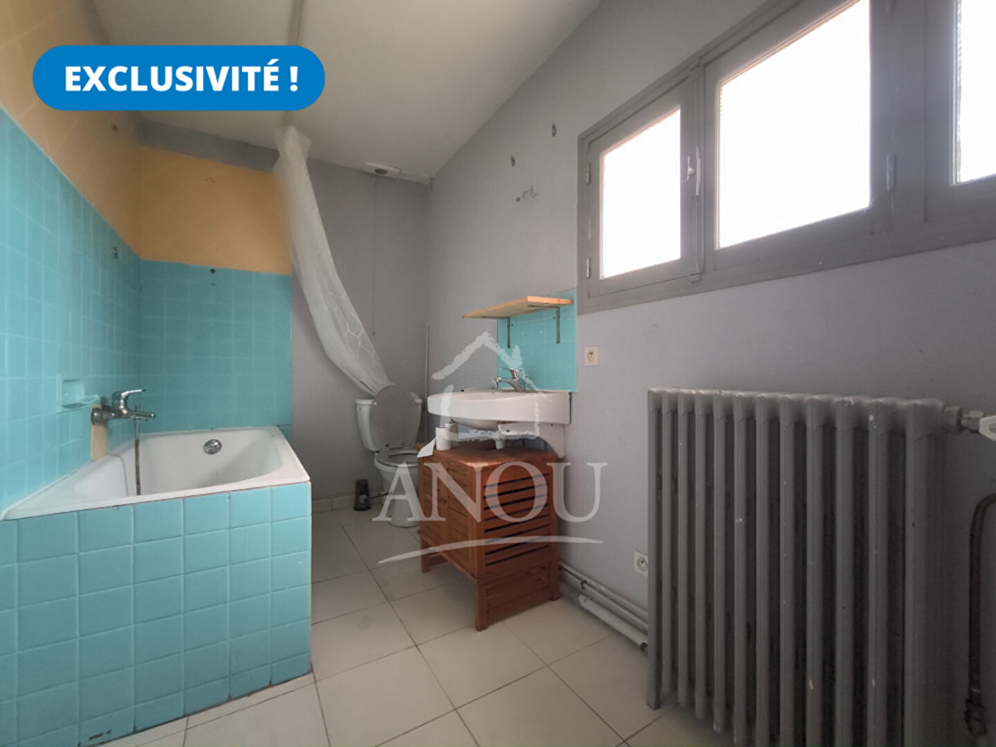 Photo Longère idéale investisseur - 1H30 DE PARIS - 10 MN DE BROU image 6/6