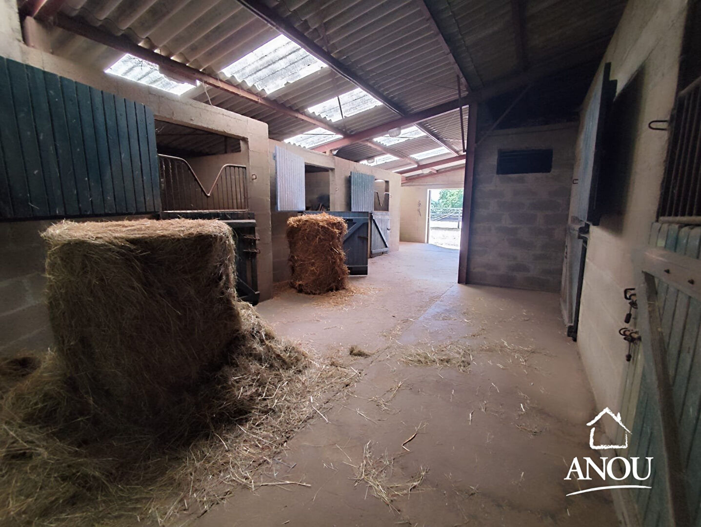 Photo PROPRIÉTÉ ÉQUESTRE ET 2 LOGEMENTS INDÉPENDANTS image 6/6