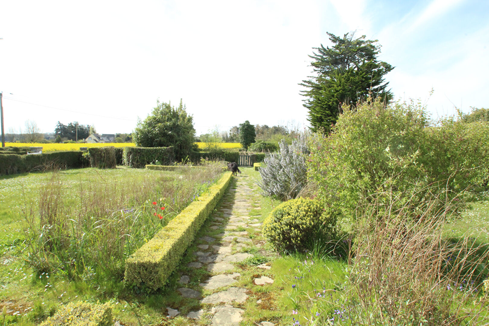 Photo MAISON FREHEL image 5/6