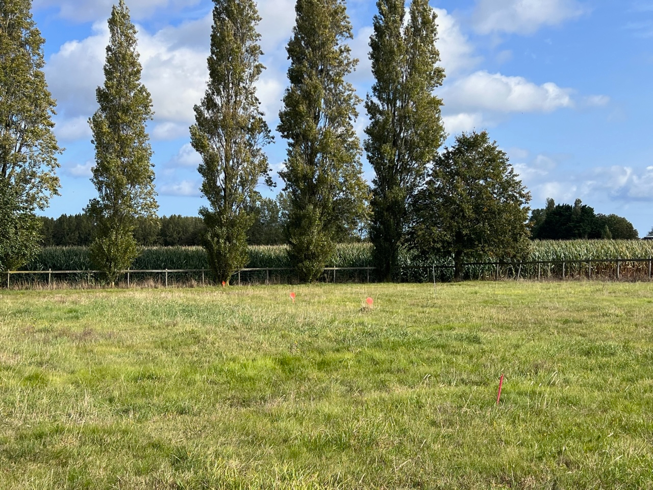 Photo PLEBOULLE TERRAIN A BATIR 547 m² image 2/6