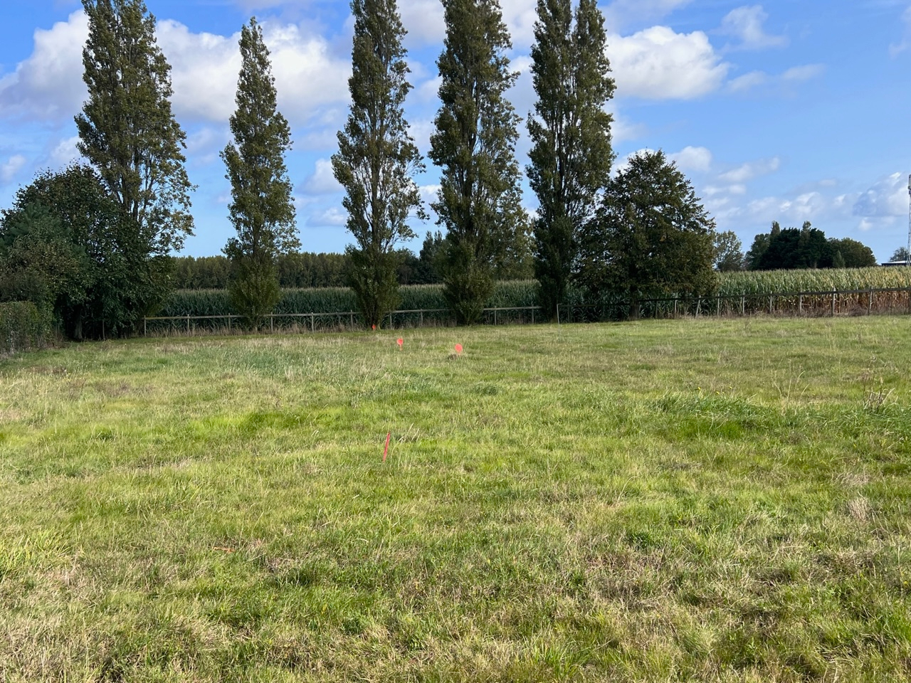 Photo PLEBOULLE TERRAIN A BATIR 547 m² image 3/6