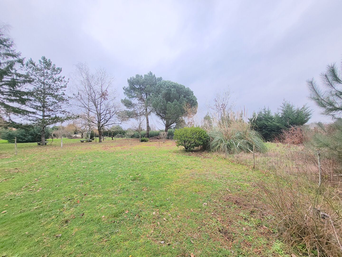 Photo A VENDRE TERRAIN À BATIR DE 3000 M2 - 10 MINUTES DE BLAYE image 2/6
