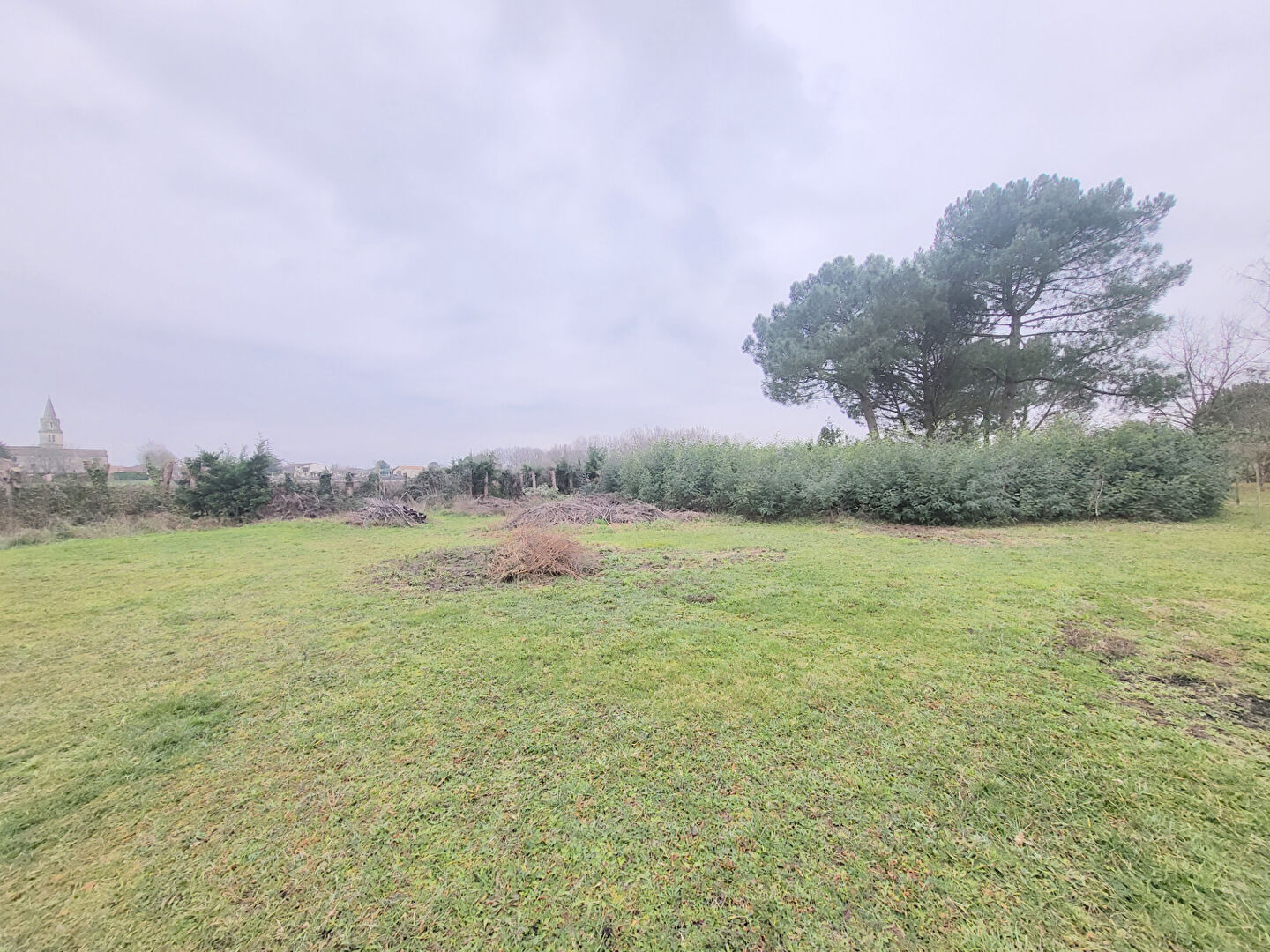 Photo A VENDRE TERRAIN À BATIR DE 3000 M2 - 10 MINUTES DE BLAYE image 3/6