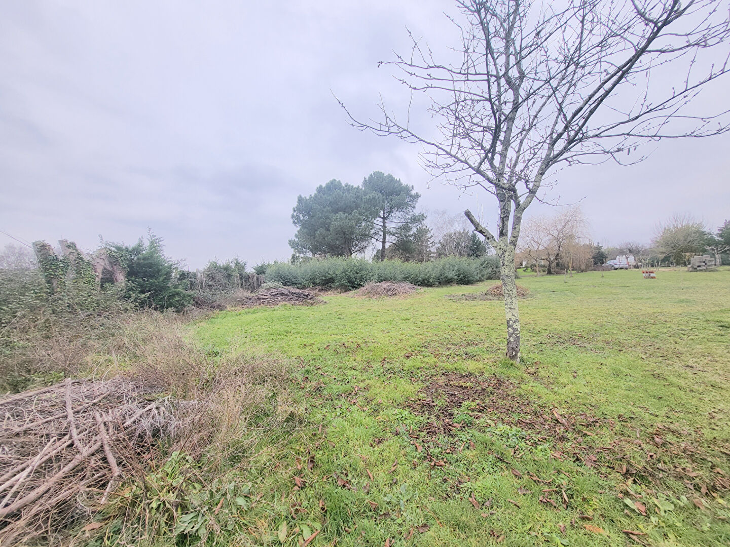 Photo A VENDRE TERRAIN À BATIR DE 3000 M2 - 10 MINUTES DE BLAYE image 4/6