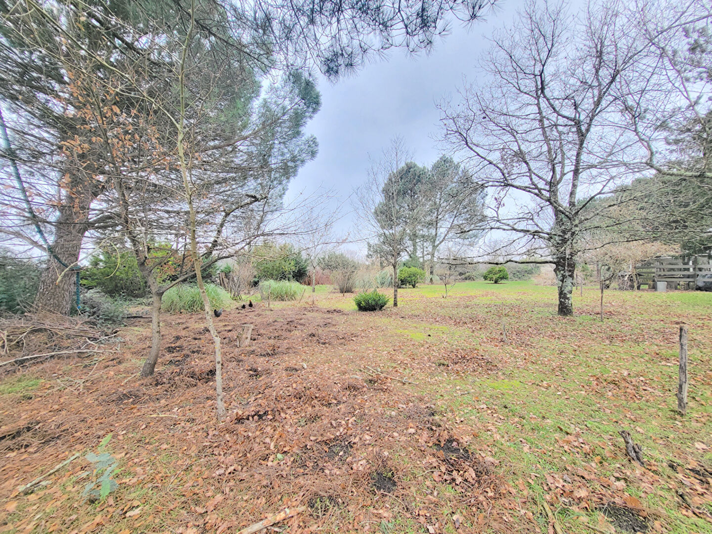 Photo A VENDRE TERRAIN À BATIR DE 3000 M2 - 10 MINUTES DE BLAYE image 5/6