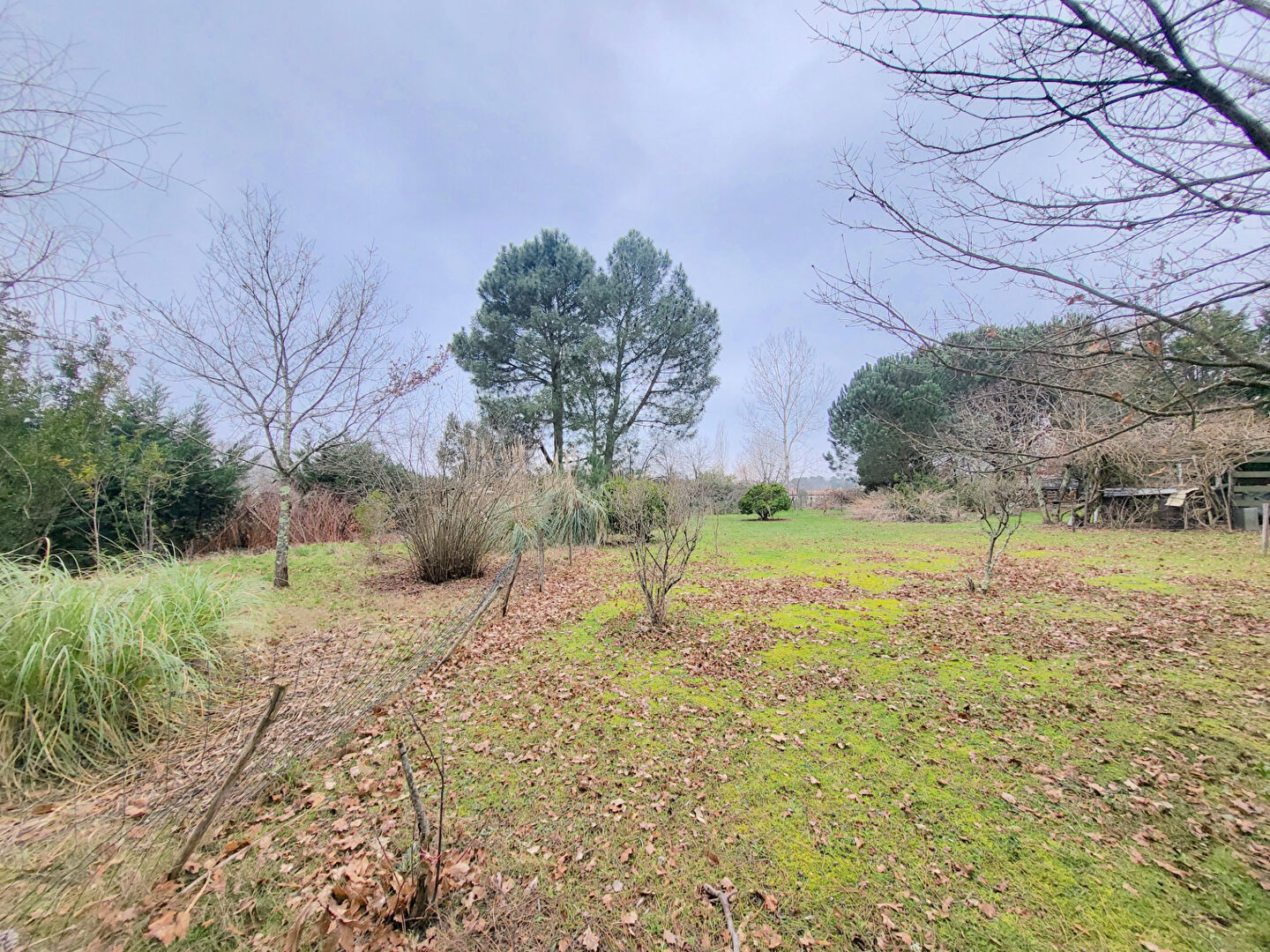Photo A VENDRE TERRAIN À BATIR DE 3000 M2 - 10 MINUTES DE BLAYE image 6/6