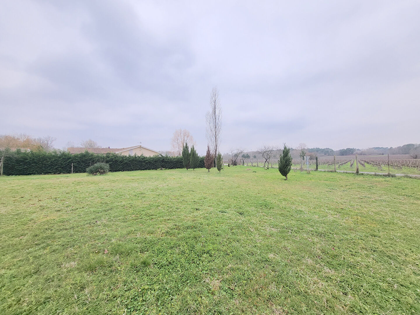 Agence immobilière de ARROW IMMOBILIER