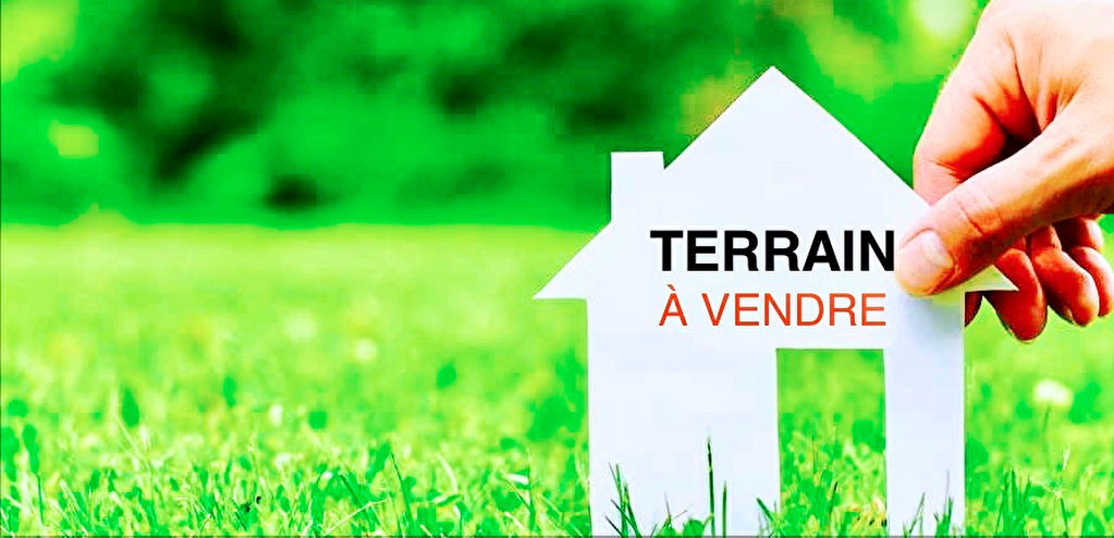 Agence immobilière de ARROW IMMOBILIER