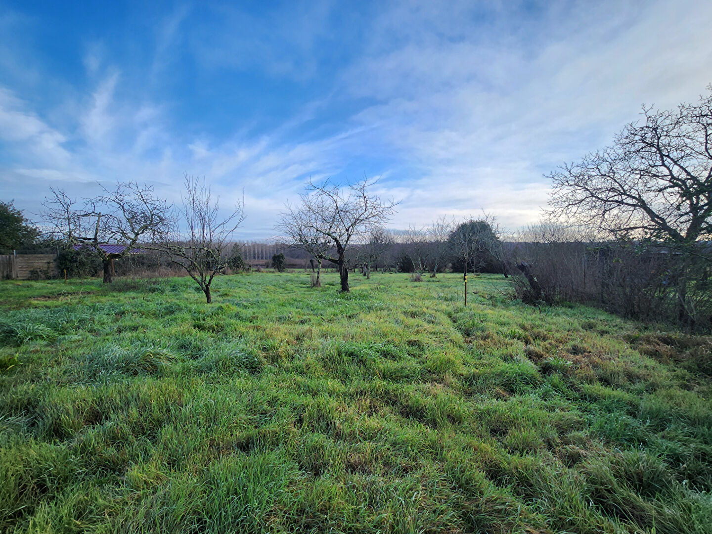 Agence immobilière de ARROW IMMOBILIER