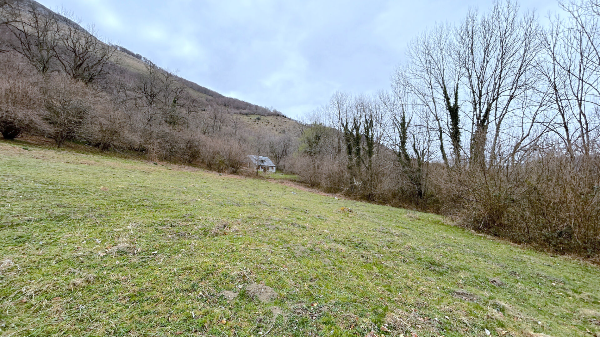 Agence immobilière de ARROW IMMOBILIER