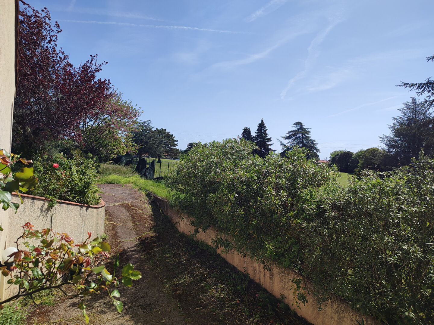Agence immobilière de ASINVESTIMMO - ASINVESTIMMO