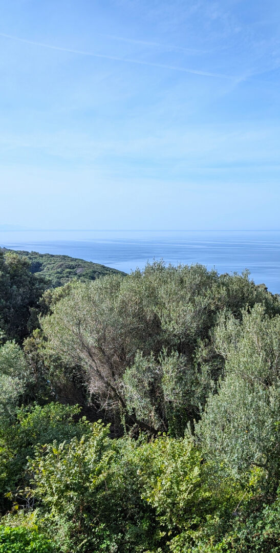 Agence immobilière de AVIS IMMOBILIER BASTIA