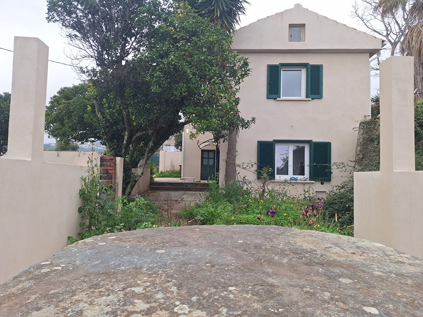 Agence immobilière de AVIS IMMOBILIER BASTIA